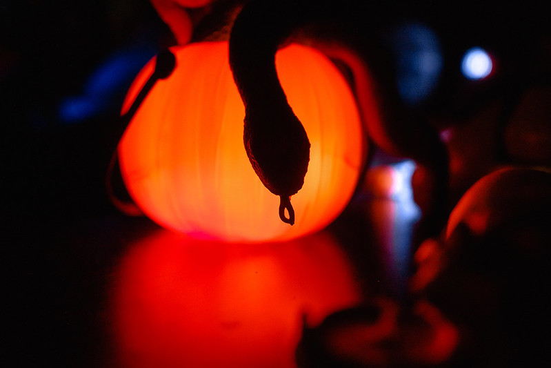 Украшение дома паутиной и летучими мышами к Хэллоуину в Grodno